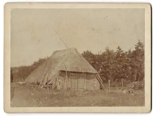 5 Fotografien unbekannter Fotograf, Ansicht Kiel, Fischerhaus an der Eider, Gehölz Bothkamp, Bruhnskoppel, Klostergehege