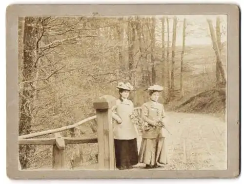 5 Fotografien unbekannter Fotograf, Ansicht Kiel, Fischerhaus an der Eider, Gehölz Bothkamp, Bruhnskoppel, Klostergehege