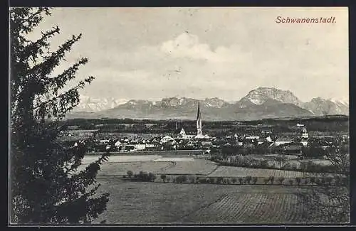 AK Schwanenstadt, Teilansicht mit Bergen