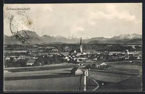 AK Schwanenstadt, Teilansicht mit Bergen