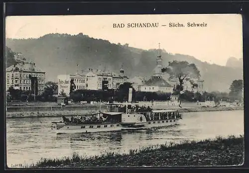 AK Bad Schandau, Ortsansicht, Dampfer auf der Elbe