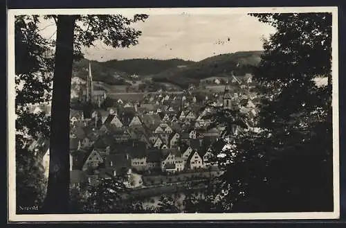 AK Nagold, Panorama aus der Vogelschau