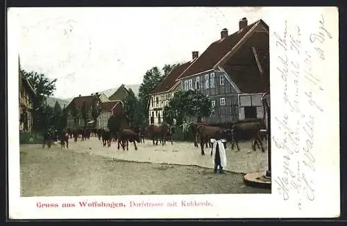 AK Wolfshagen / Harz, Dorfstrasse mit Kuhherde