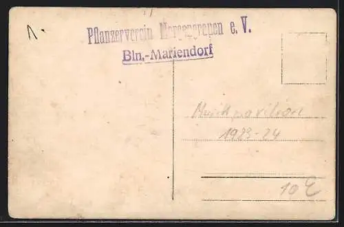 Foto-AK Berlin-Mariendorf, Feier des Pflanzenvereins Morgengrauen eV