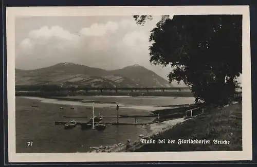 AK Floridsdorf, Floridsdorfer Brücke mit Bergpanorama vom Ufer aus