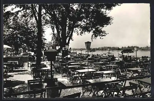 AK Freudenau Schiffmühlen, Donauterrassen-Restaurant Franz Berger, Terrasse mit Donaublick