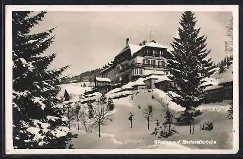 AK Gösing a. d. Mariazellerbahn, Hotel Gösing im Winterglanz