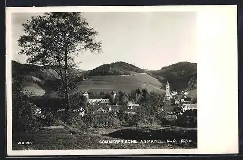 AK Aspang, Ortsansicht mit Kirchturm