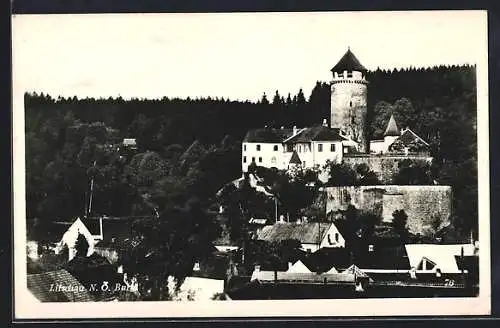 AK Litschau /N. Ö., Blick auf die Burg