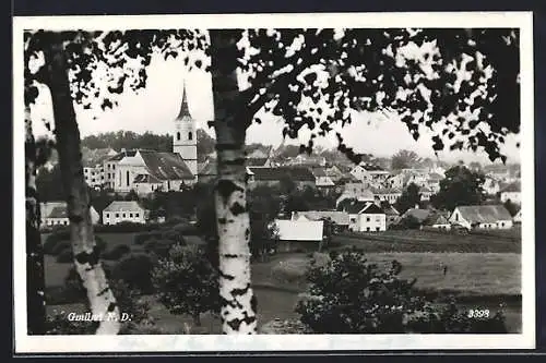 AK Gmünd /N. D., Ortsansicht zwischen zwei Birken