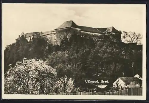 AK Uzhorod, Blick zum Berg