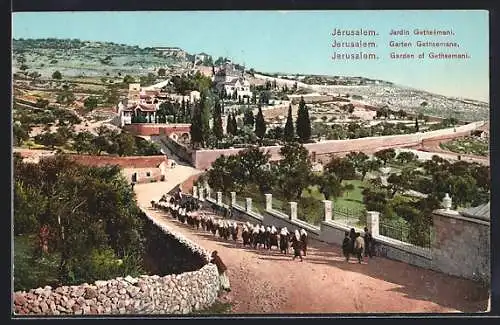 AK Jerusale, Garten Gethsemane, Panorama