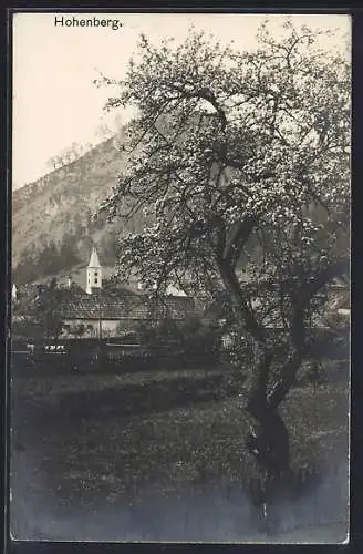 AK Hohenberg, Ortsansicht im Frühling