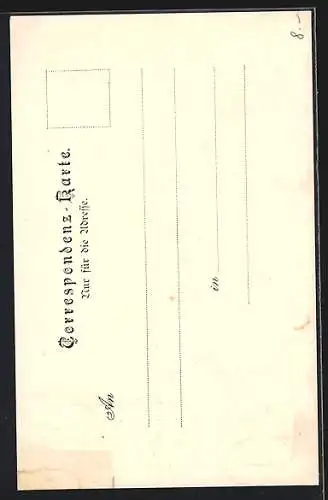 AK Linz, Altstadt durch das Landhaus gesehen