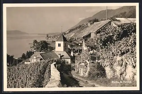 AK Twann, Blick von Weg auf Weinreben, Kirche und See