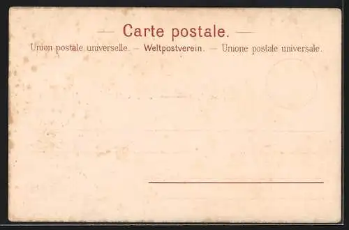 AK Schweiz, verschiedene Briefmarken mit Blumen dahinter