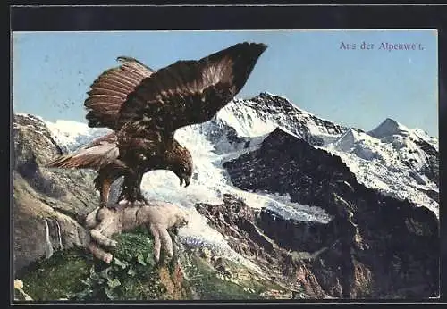 AK Steinadler mit erlegtem Hasen