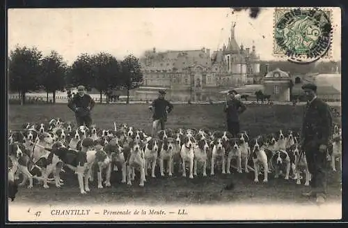 AK Chantilly, Promenade de la Meute, Jäger und Jagdhunde