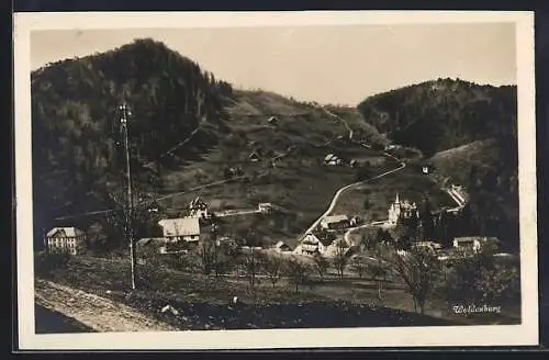 AK Waldenburg, Panorama