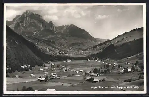 AK Starkenbach /Togg., Panorama mit Schafberg