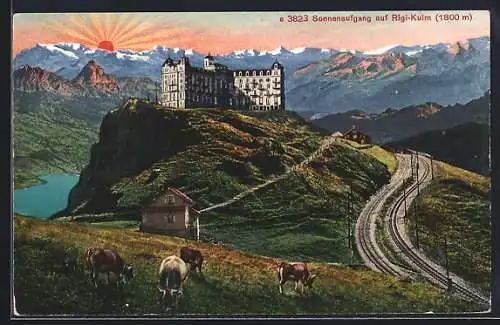 AK Rigi-Kulm, Hotel mit Kühen bei Sonnenaufgang