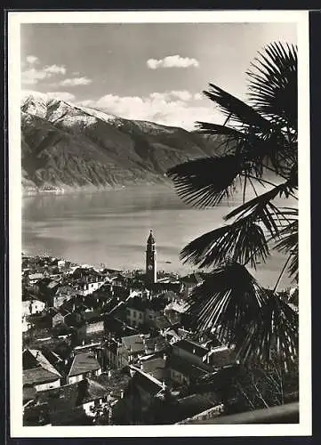 AK Ascona, Teilansicht mit Palmen und Bergpanorama