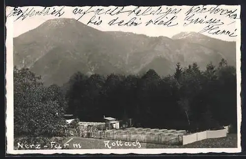 AK Rottach, Nerz-Farm gegen Bergpanorama