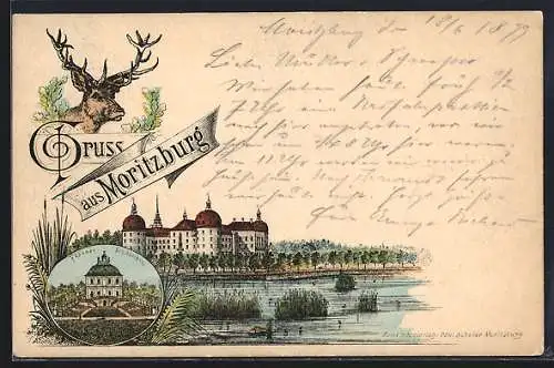 Lithographie Moritzburg / Sachsen, Fasanenschlösschen, Moritzburg und Hirsch