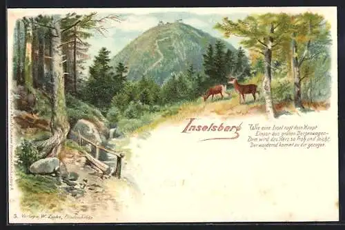 Lithographie Brotterode, Partie auf dem Inselsberg, Rehe