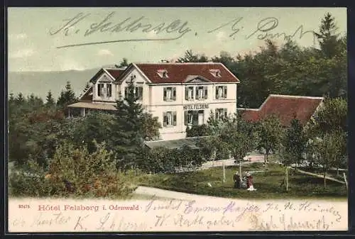 AK Felsberg / Odenwald, Hotel Felsberg