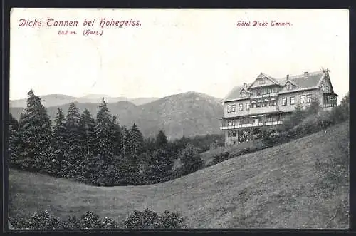 AK Hohegeiss, Hotel Dicke Tannen auf dem Berg