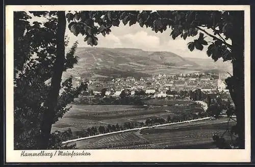 AK Hammelburg /Mainfranken, Ortsansicht aus der Ferne