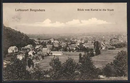 AK Bergzabern, Blick vom Kurtal in die Stadt