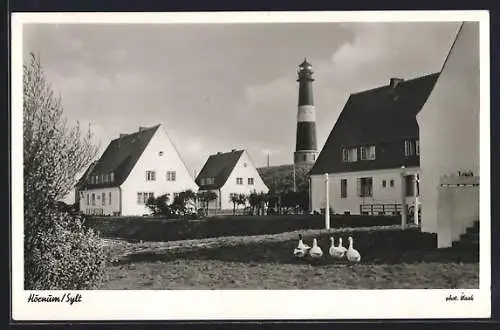 AK Hörnum, Ortspartie am Leuchtturm, Gänse