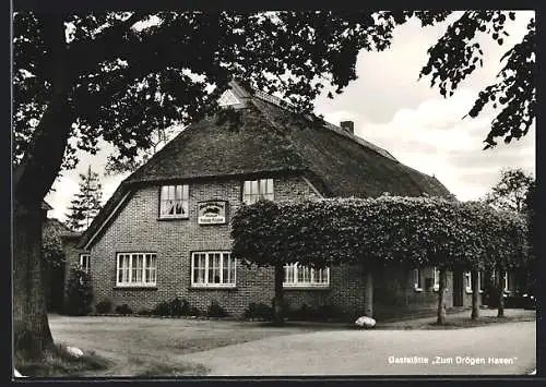 AK Oldenburg i. O., Gaststätte zum Drögen Hasen K. H. Twiest