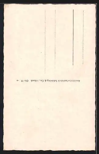AK Oldenburg i. O., Lappan von der Staulinie