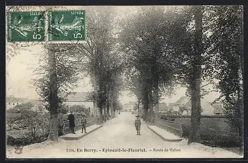 AK Épineuil-le-Fleuriel, Route de Vallon en Berry