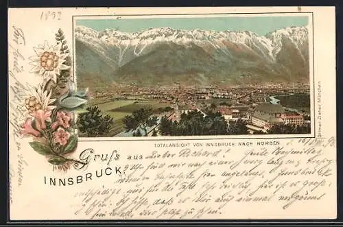 Vorläufer-Lithographie Innsbruck, 1895, Totalansicht mit Alpen, Edelweiss im Passepartout