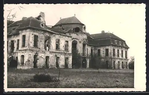 Foto-AK Engelhartstetten, Das zerstörte Schloss Niederweiden