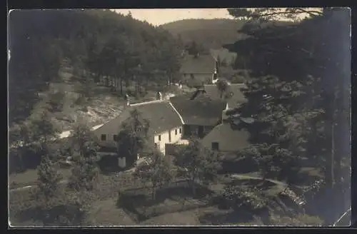 AK Horn /N.-Oe., Mödring, Hotel-Pension zur Waldschenke