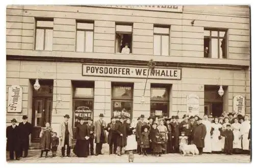 10 Fotografien unbekannter Fotograf, Ansicht Wien, Ladengeschäfte, Poysdorfer Weinhalle, Gasthaus Zum Gück-Stern, u.a.