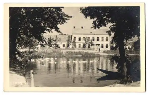 9 Fotografien unbekannter Fotograf, Ansicht Wien, Dampfbäckerei Josef Führer, Aufmarsch am Photo-Atelier Adolf Werner u.