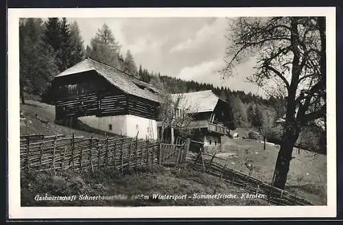 AK Liebenfels /Kärnten, Feistritz-Pulst, Gasthaus Schneebauerhöhe