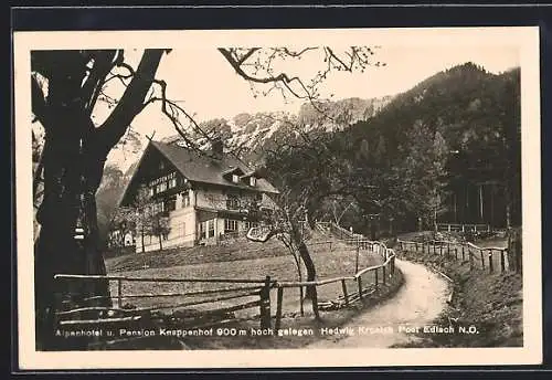 AK Edlach, Alpenhotel & Pension Kanppenhof