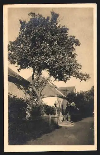 AK Kahlenberg, Ortspartie an einem Geschäftshaus