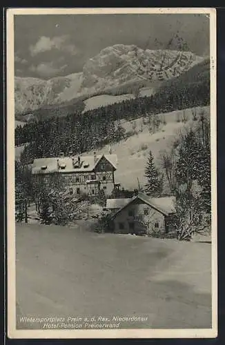 AK Prein a. d. Rax, Hotel-Pension Preinerwand im Winter