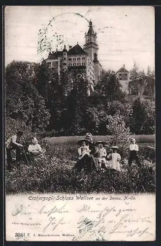 AK Wallsee, Das Erzherzol. Schloss Wallsee an der Donau