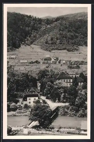 AK Bruck an der Mur, Forstschule und Forstschülerheim vom Lehrforst aus