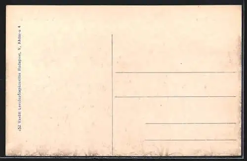 AK Királyháza, Várhegyi részlet, Totalansicht