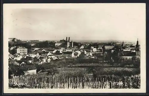 AK Uzhorod, Blick über die Dächer